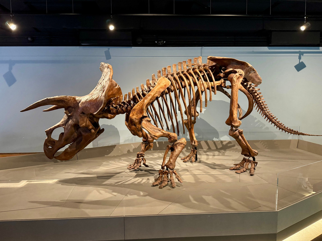 Museum of the Rockies-博兹曼必去景点