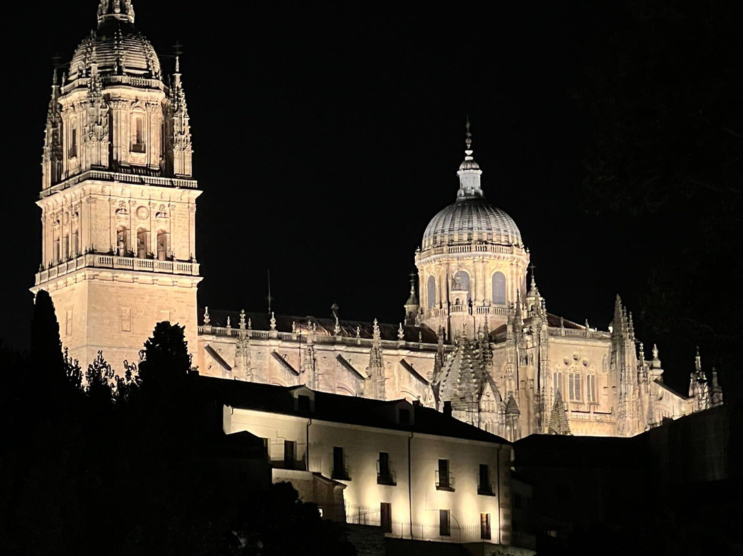 雷克托酒店主图