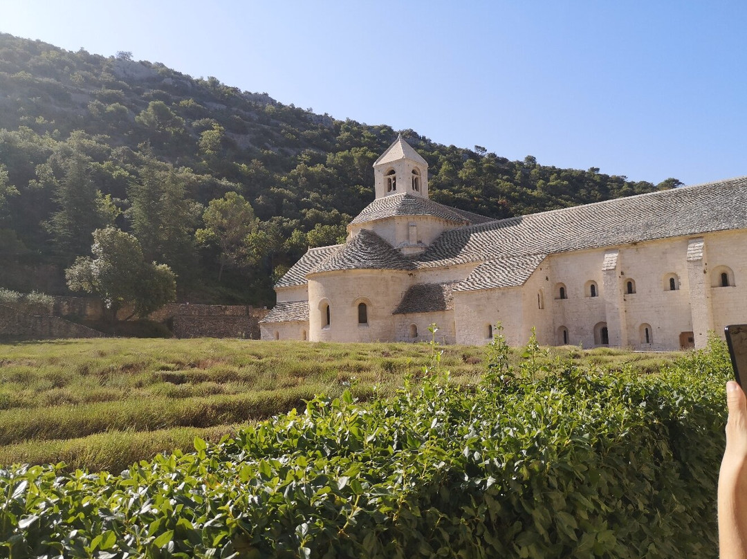 MATHILDE CASSOLI - Tour Leader-博洛尼亚必去景点