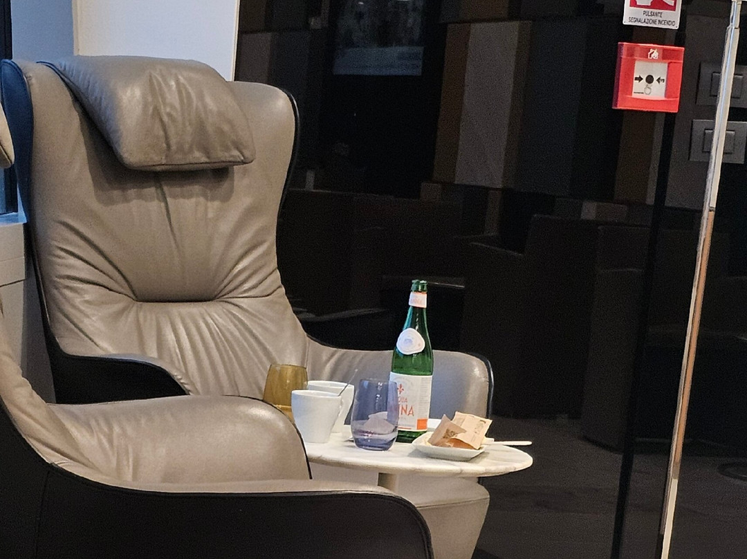 Premium Lounge - Milano Malpensa-费尔诺必去景点