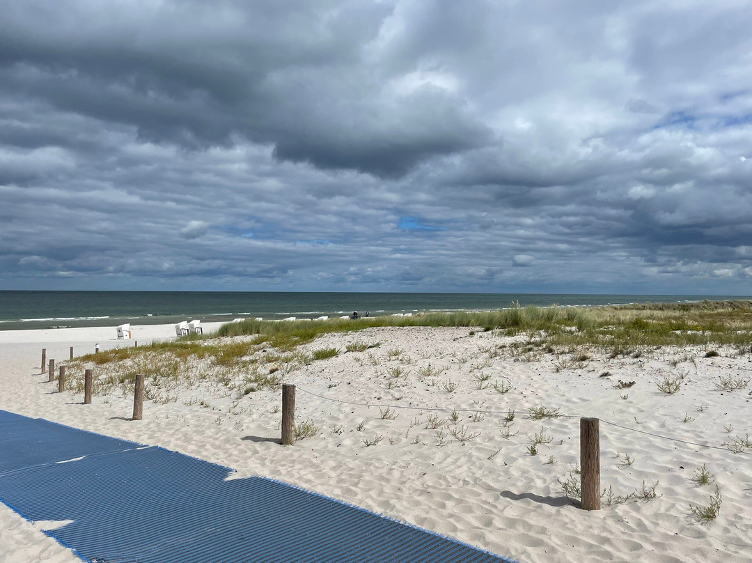 Seebrücke Prerow-Ostseebad Prerow必去景点