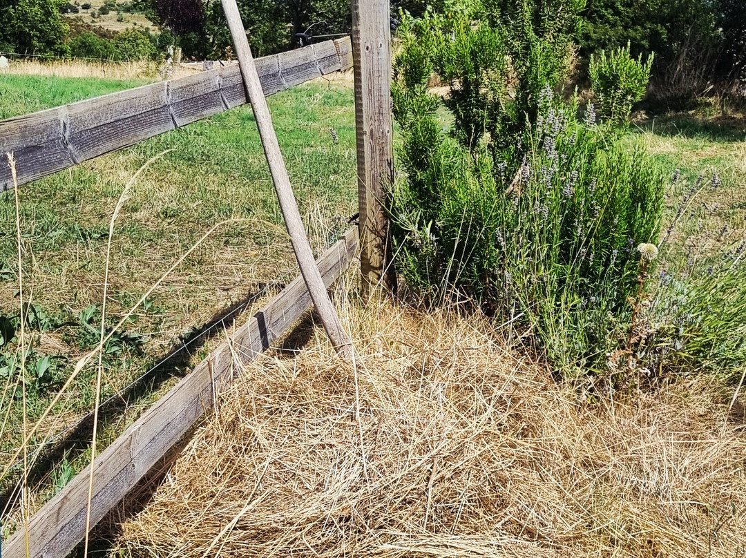 Ferme Saint Pierre主图