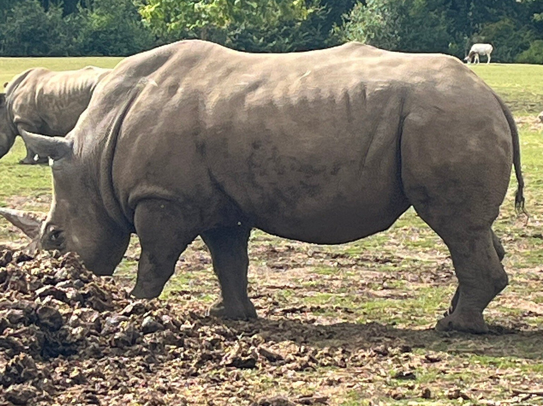 Marwell Activity Centre-Owslebury必去景点