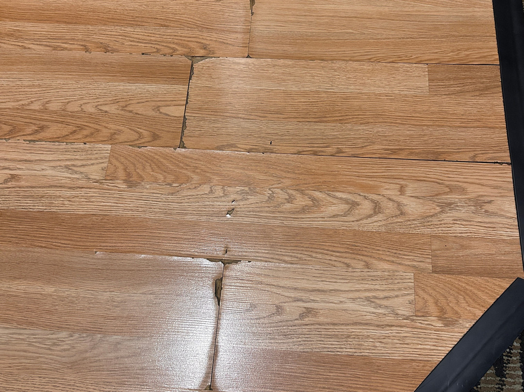 Homewood Suites by Hilton Mobile Airport-University Area主图