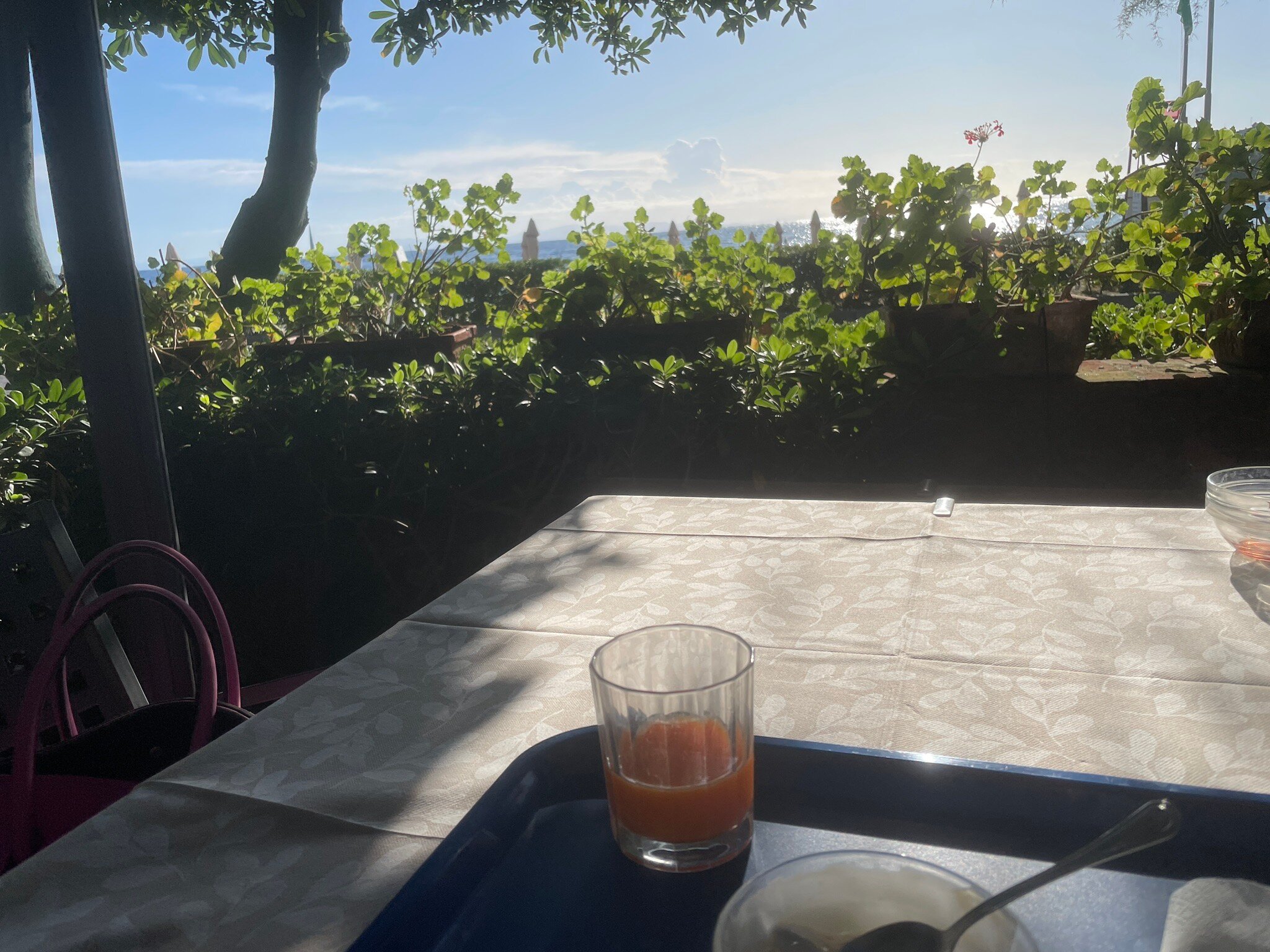 Villa Rodriguez Hotel-官方