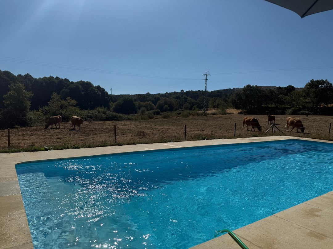 Quinta do Rio Noémi