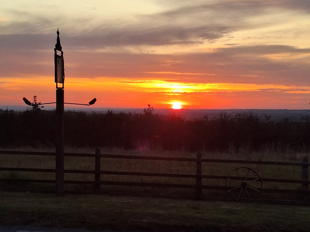 狐狸与猎犬酒店主图