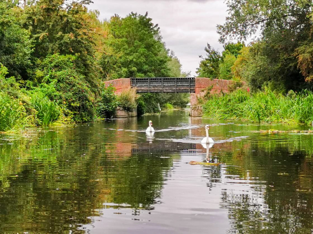 Chelmer Cruises - Heybridge Basin-Heybridge必去景点
