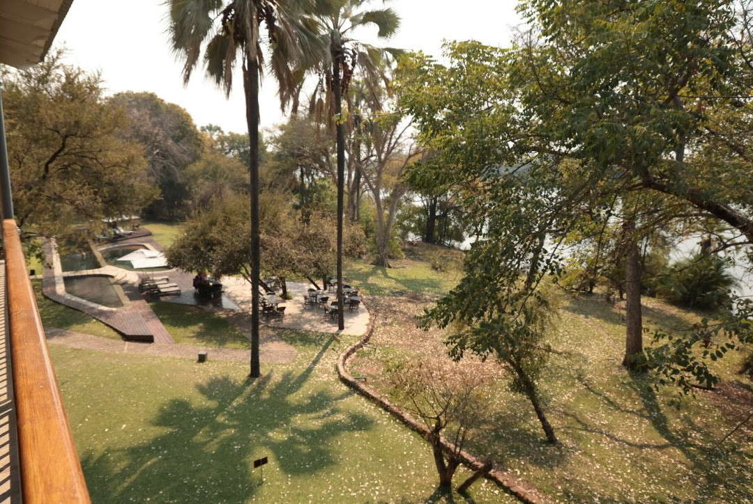 The Palm River Hotel主图