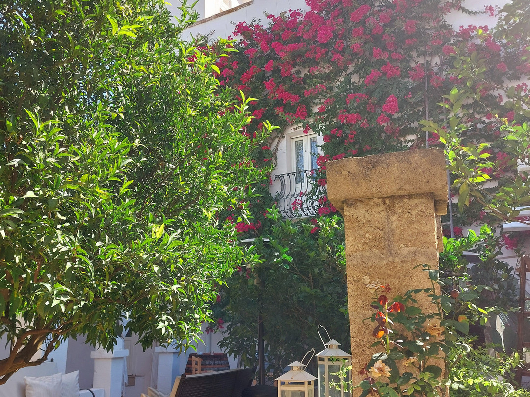 Masseria Messapia Wine Resort & Spa主图