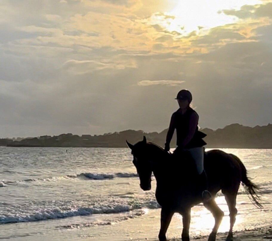 Newport Equestrian-米德尔敦必去景点