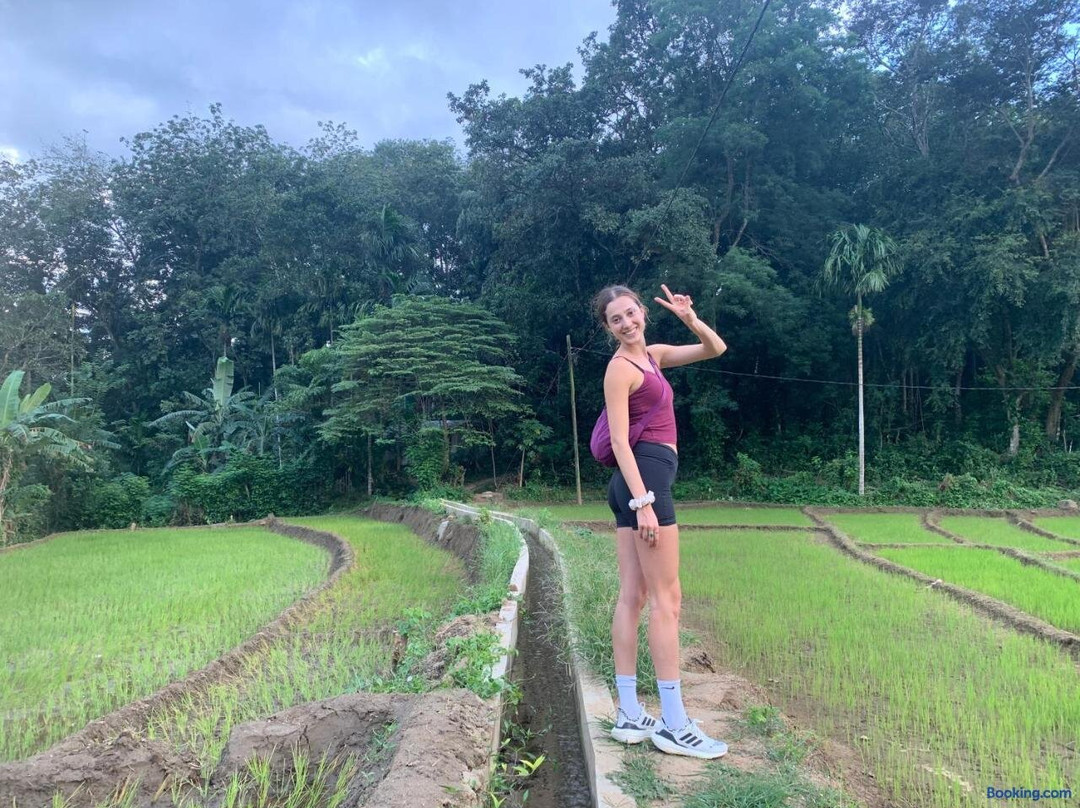 Wild Waterfall Dining Lodge