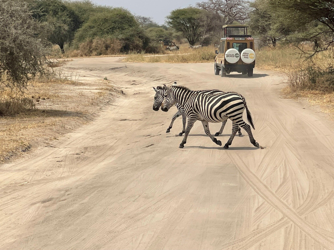 Sound Of Tanzania Explores-阿鲁沙必去景点