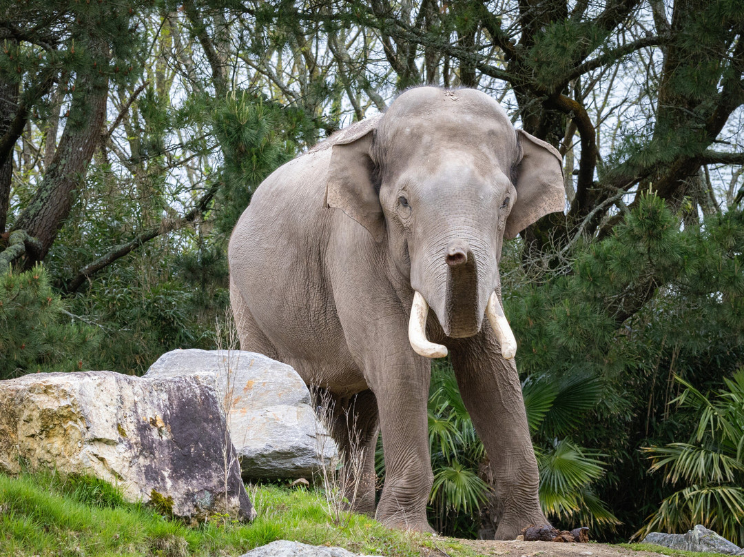 Les Terres De Nataé-Pont-Scorff必去景点