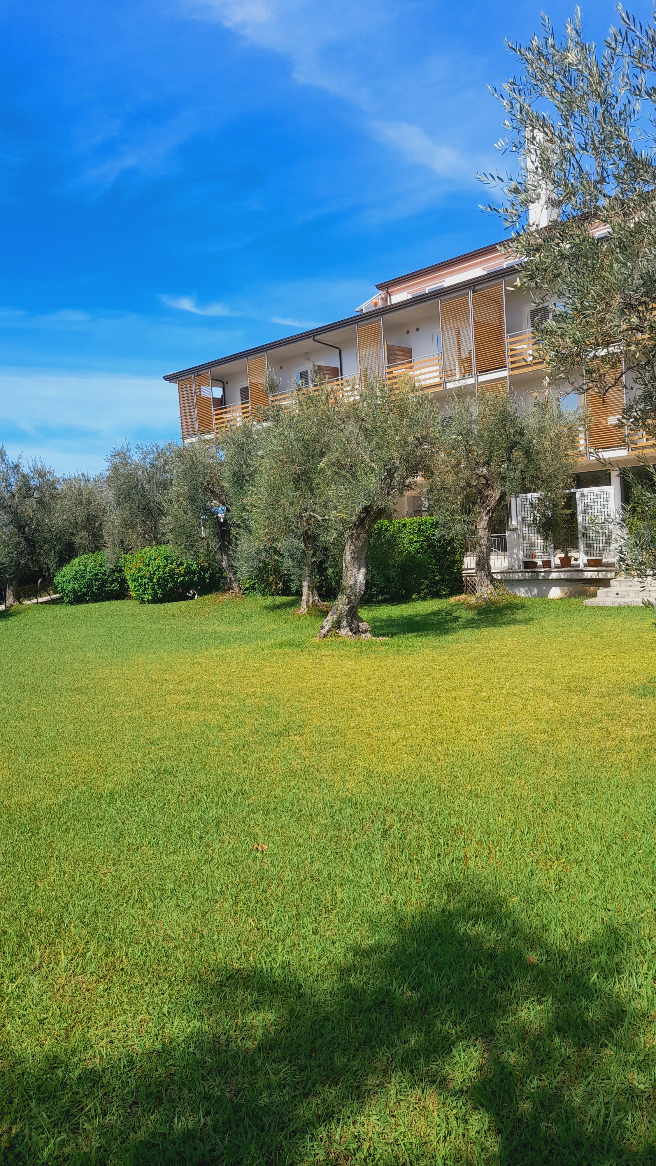 Elaia Garden Hotel-官方