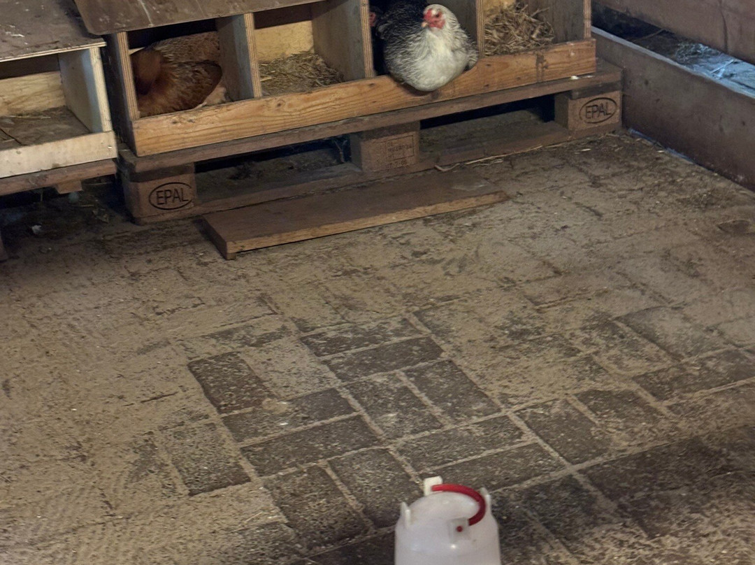 Openluchtmuseum Ootmarsum Het Land Van Heeren en Boeren-Ootmarsum必去景点