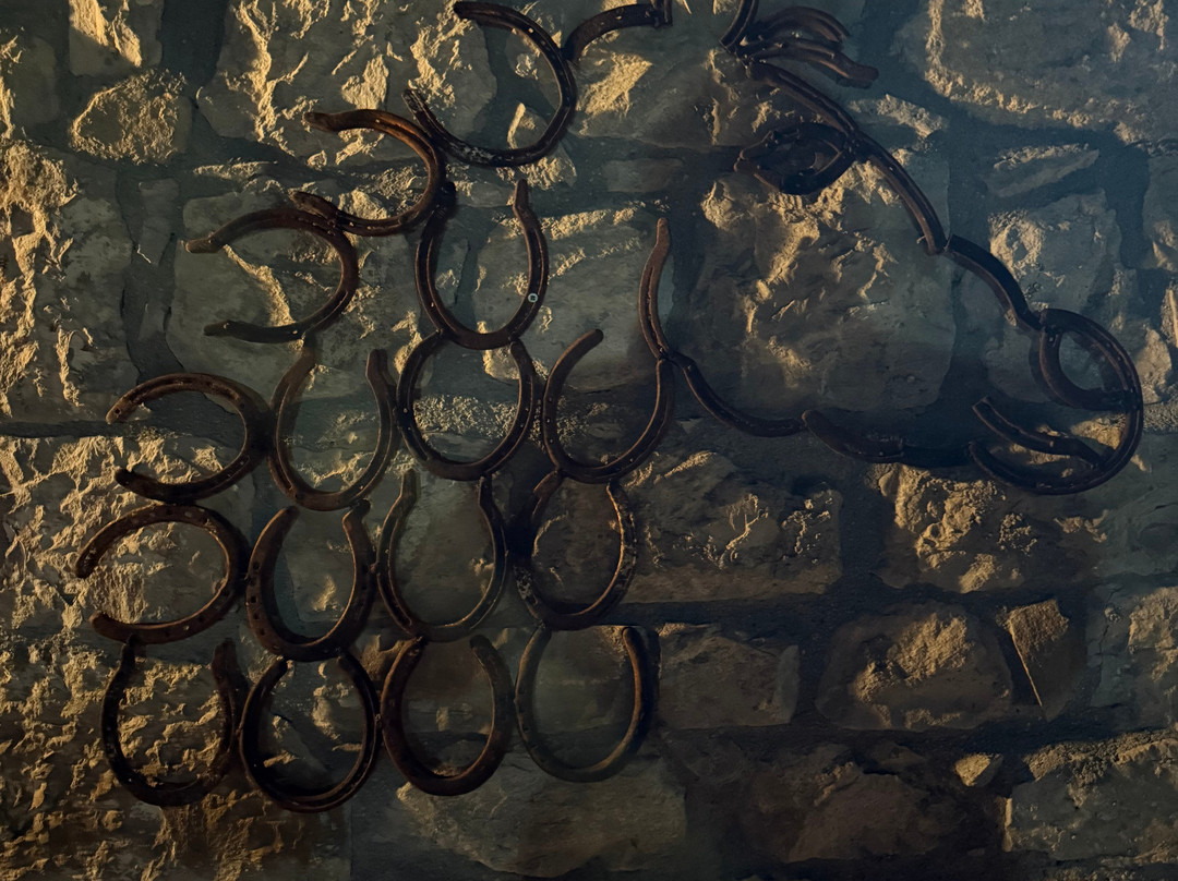 Passeggiata a cavallo a Guardialfiera-Guardialfiera必去景点