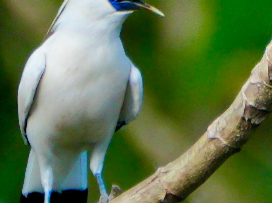 Friends of the National Parks Foundation Wildlife & Conservation Centre-珀尼达岛必去景点