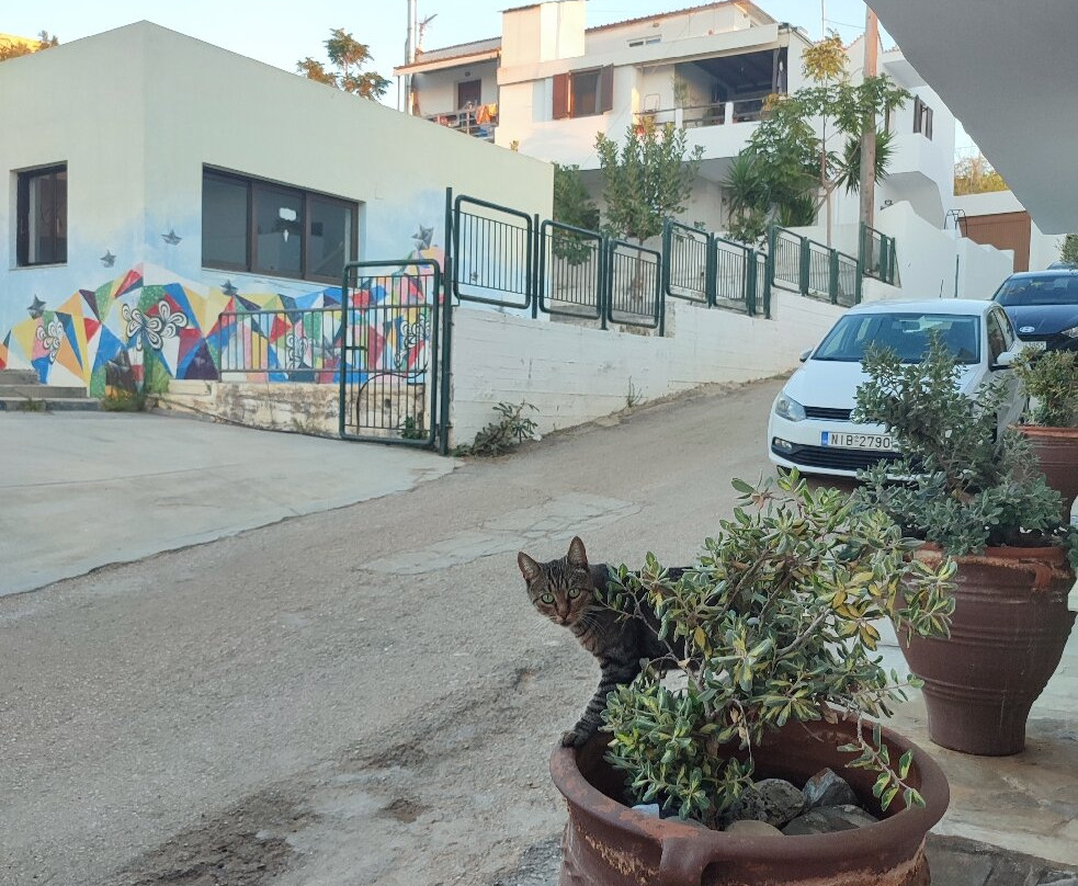 Kasteli Studios & Apartments主图