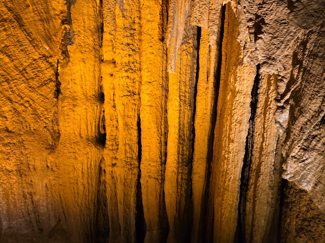 Domes And Dripstones Tour-Mammoth Cave必去景点