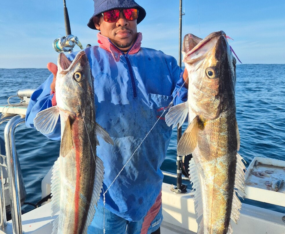 Delarey Charters-圣法兰西斯港必去景点