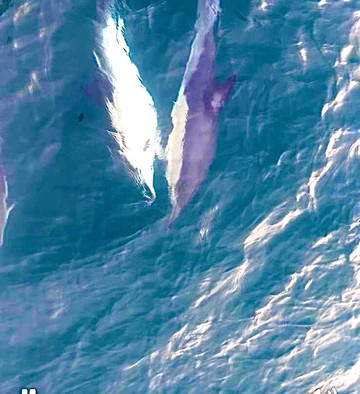 Boatsafari.co.uk-布里克瑟姆必去景点