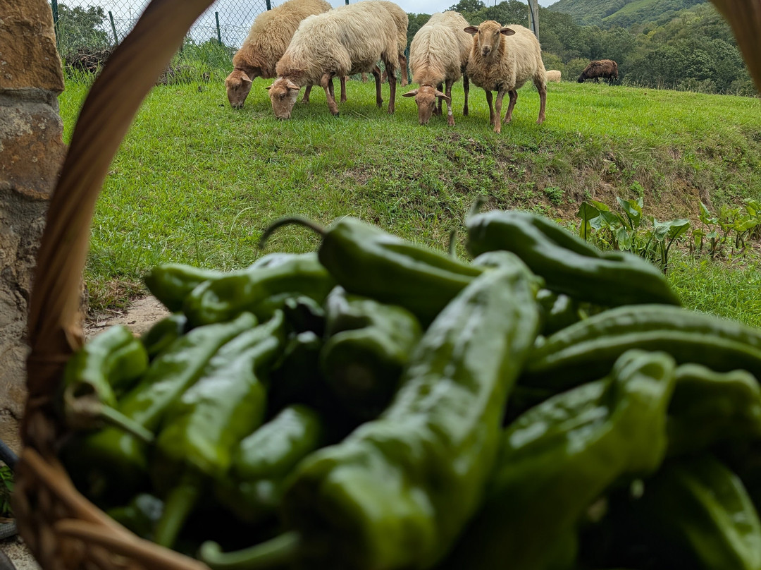 Pyrenean Writing Retreats-Ituren必去景点