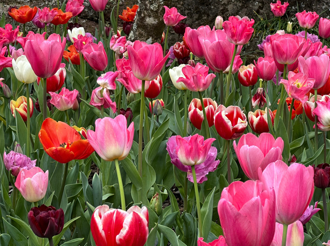 Eden Garden-埃普索姆必去景点