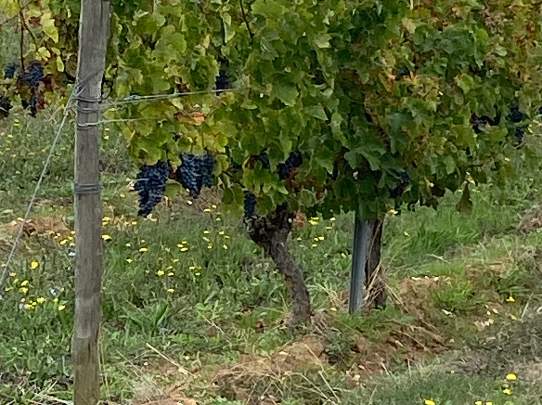 Vélocation17-Puilboreau必去景点