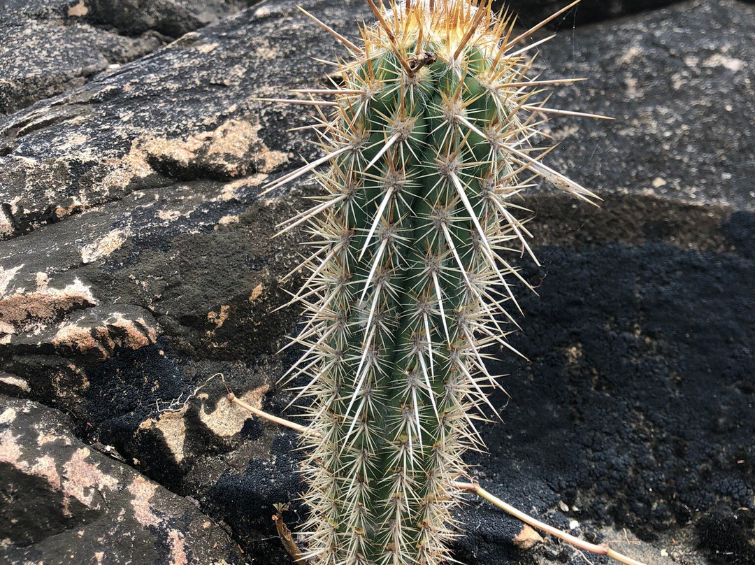 Stone of Inga-Inga必去景点