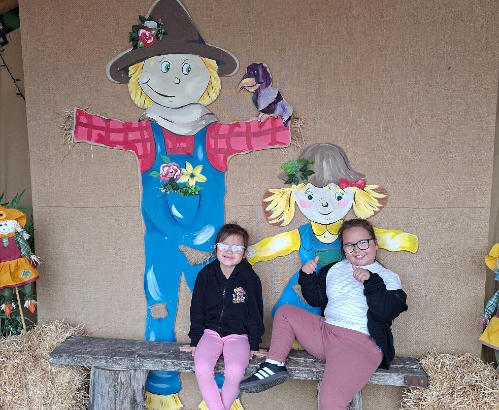 Cockfields Farm Park-Ashton-under-Lyne必去景点