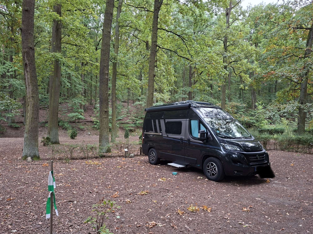 Schwielowsee-Camping