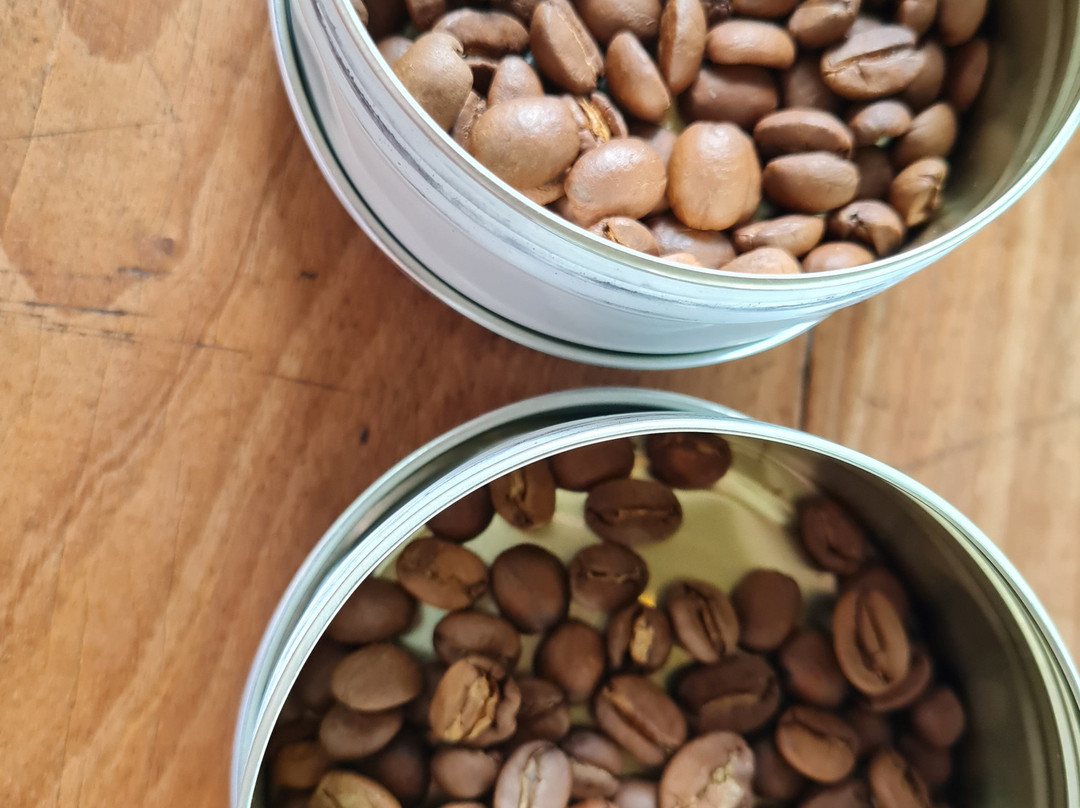 Fazenda Camocim-多明戈斯-马丁斯必去景点