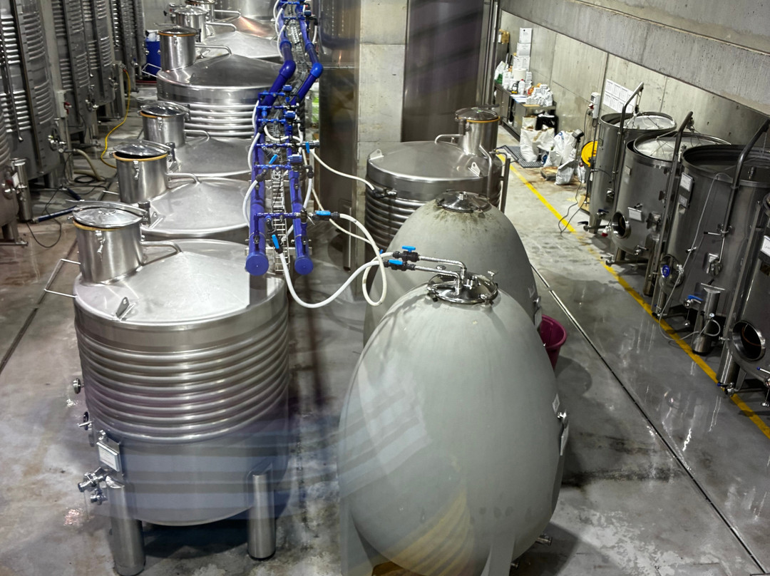 AdegaMae-托雷斯韦德拉什必去景点