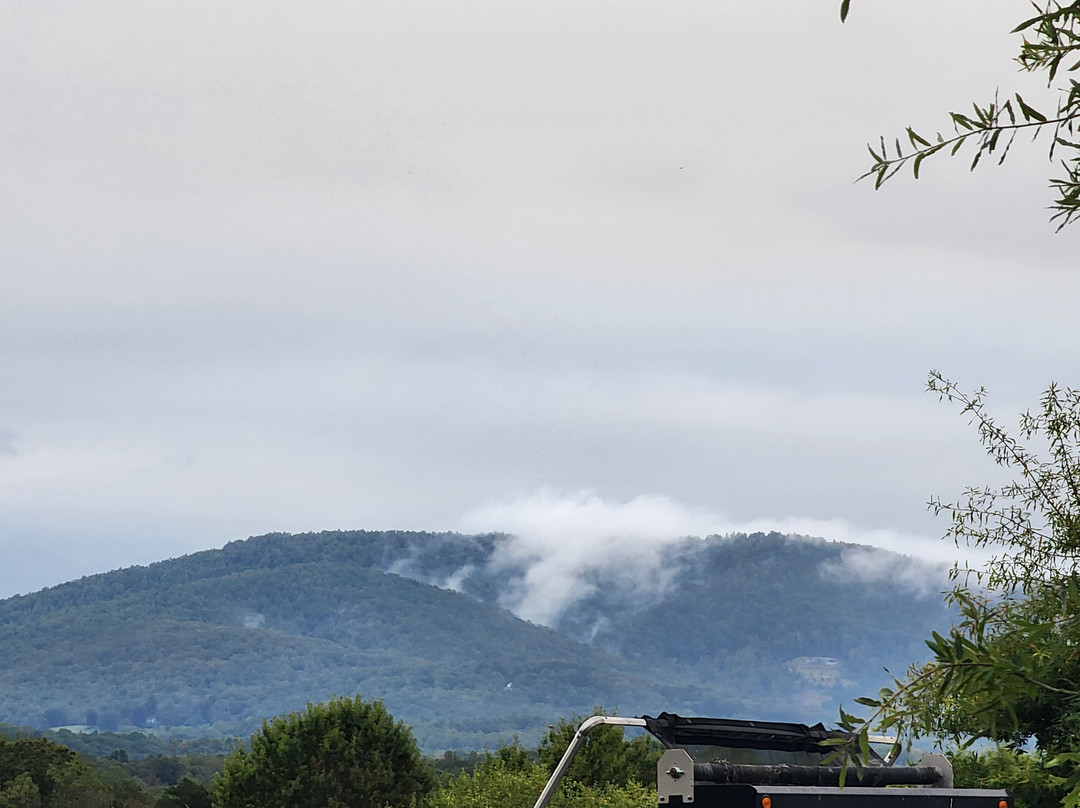 Staybridge Suites Charlottesville Airport by IHG主图