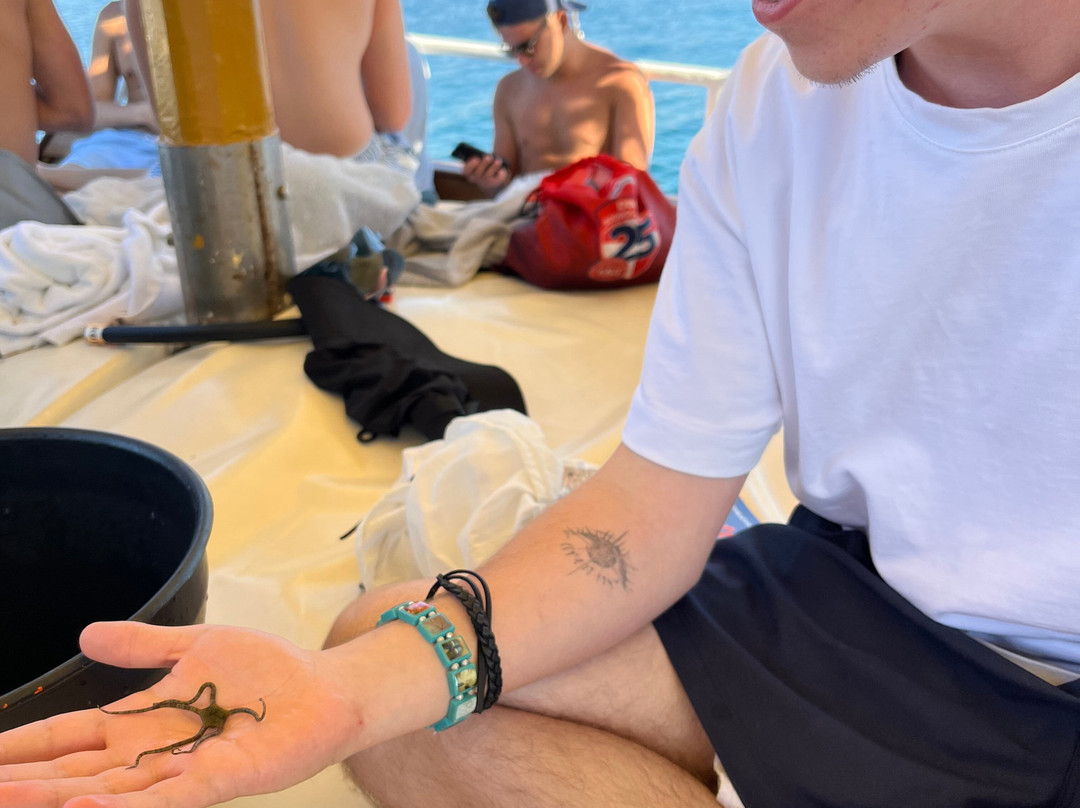 Manos cruises - Ferryman Boat-干尼亚必去景点