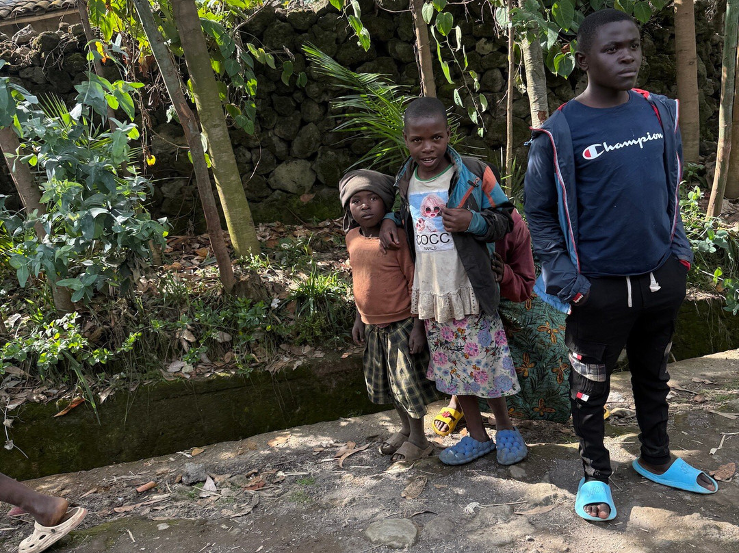 Primate Safaris-吉佳利必去景点