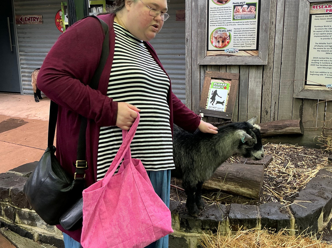 Gumbuya World Theme Park-Tynong必去景点