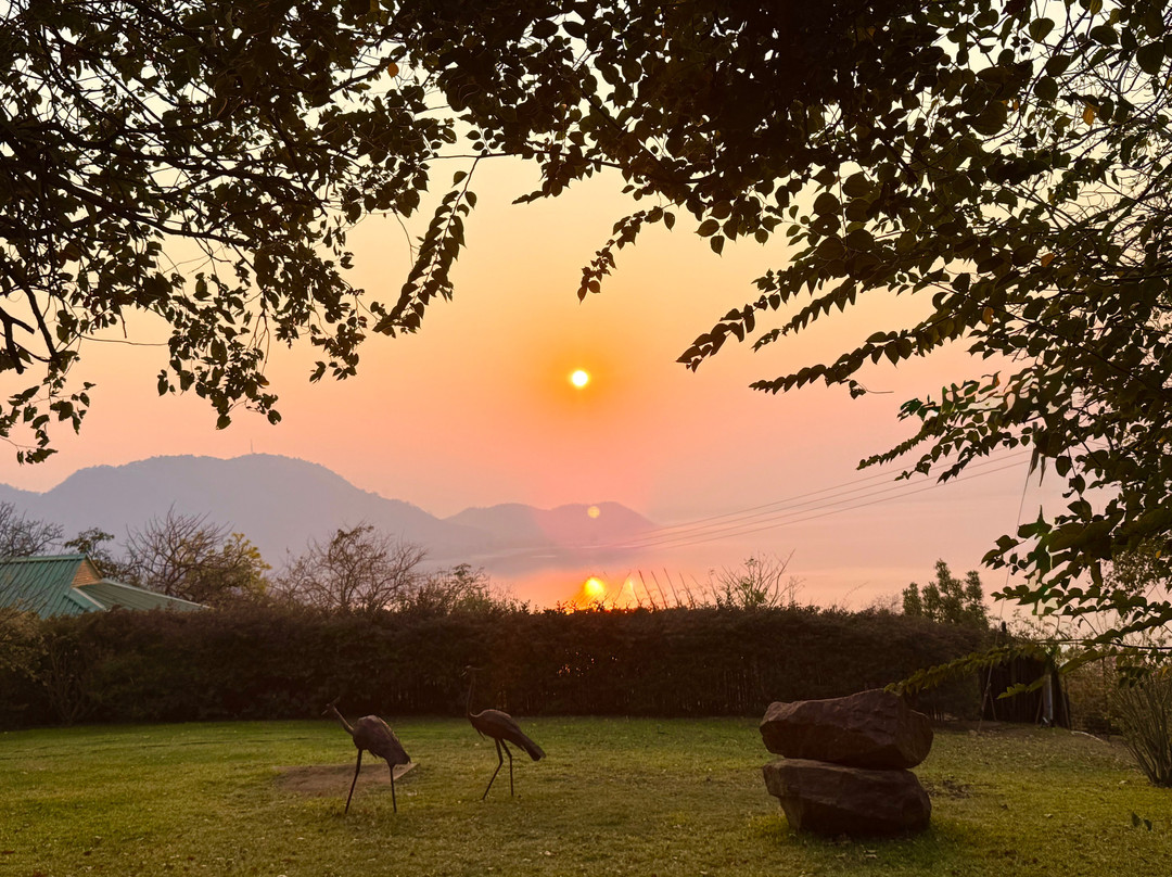 Hornbill Lodge主图