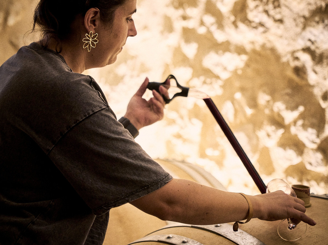 Domaine Baudon-Montagne必去景点