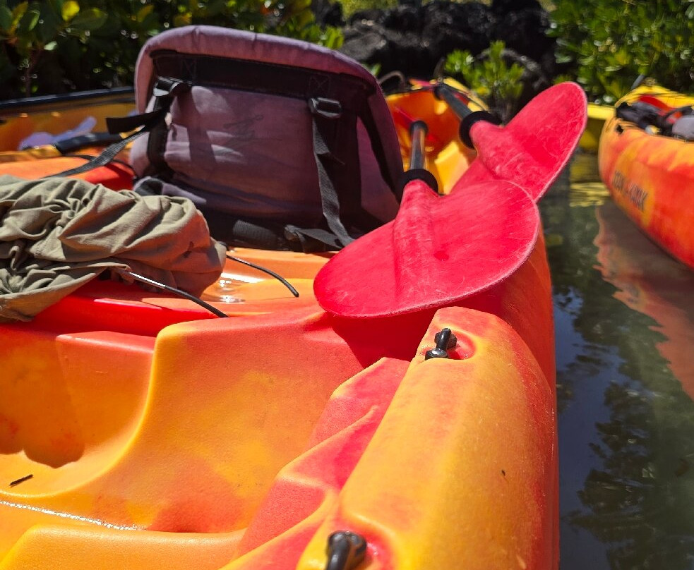 Sea Kayak Adventures-毛里求斯必去景点