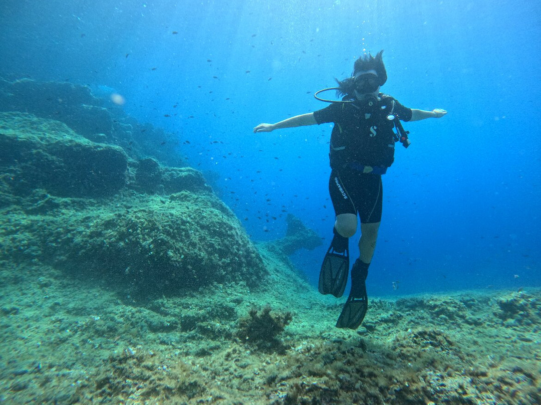 Epidaurum Diving & Water-Sports Center-察夫塔特必去景点