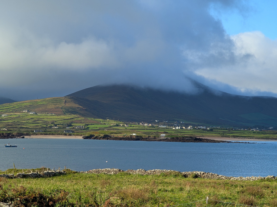 Celtic Nature Walking Tours-丁格尔必去景点