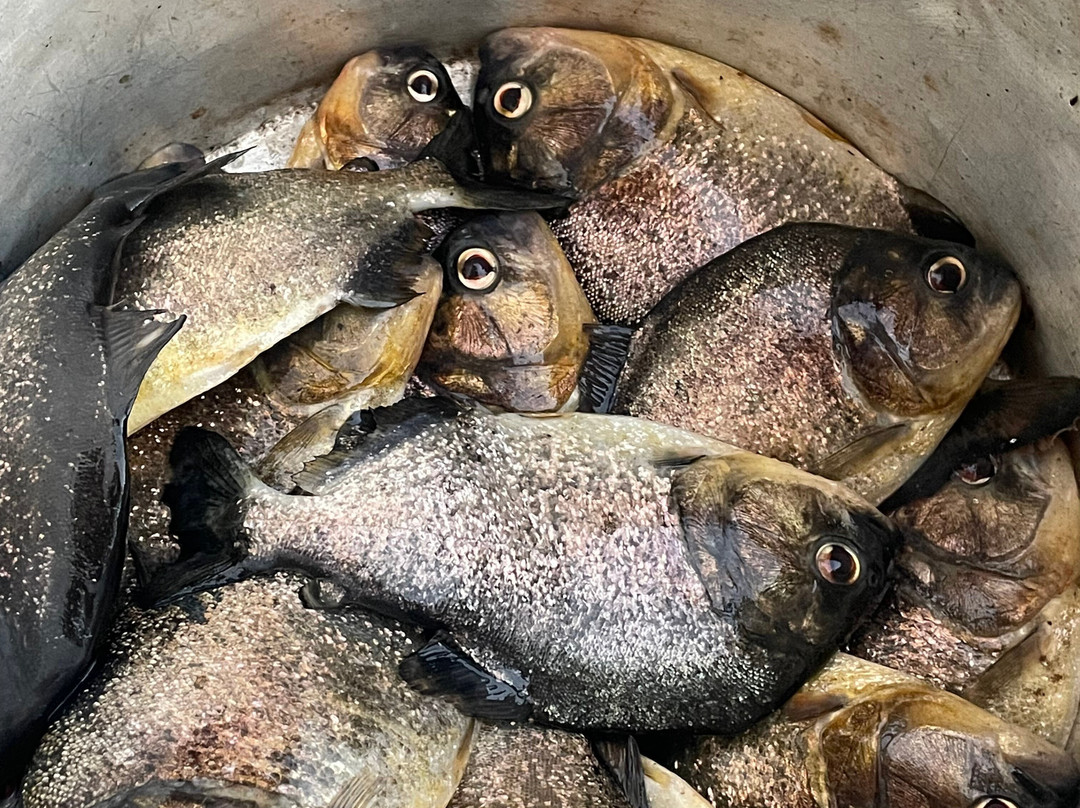 Yuruma Journeys-Rurrenabaque必去景点