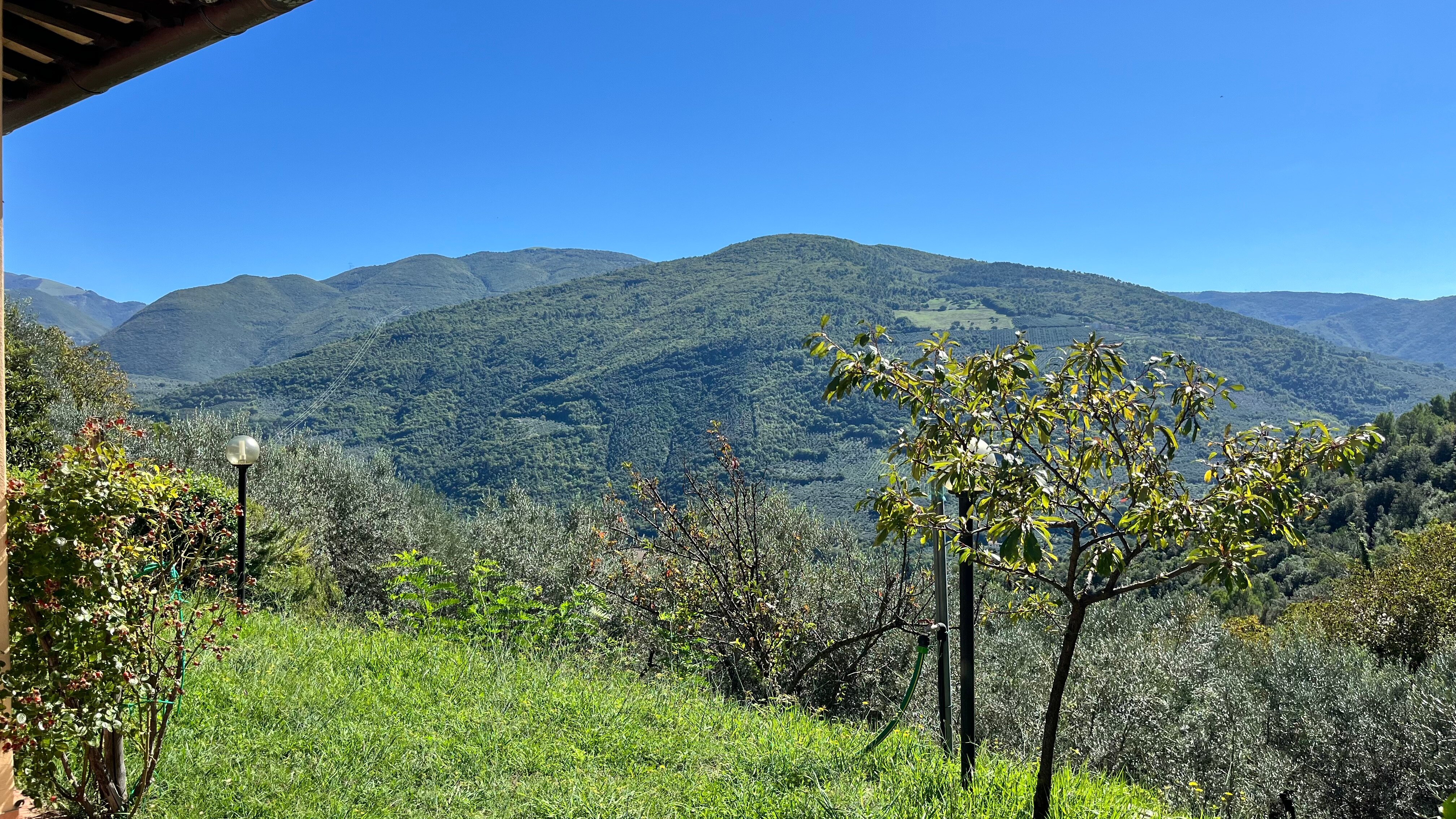 Agriturismo Il Casaletto-官方