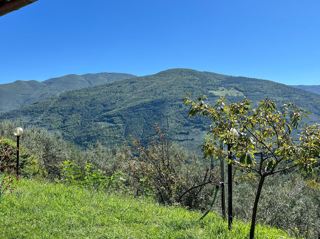 Agriturismo Il Casaletto主图