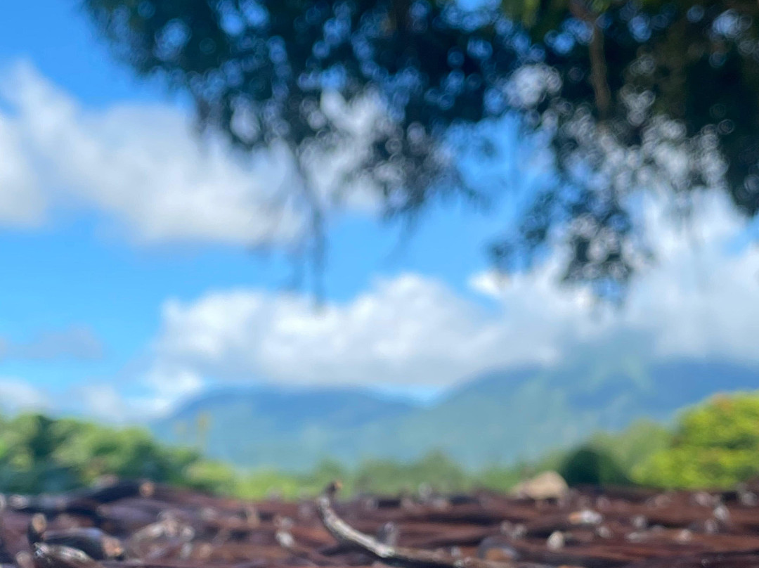 Wale Vanilla-Tomohon必去景点