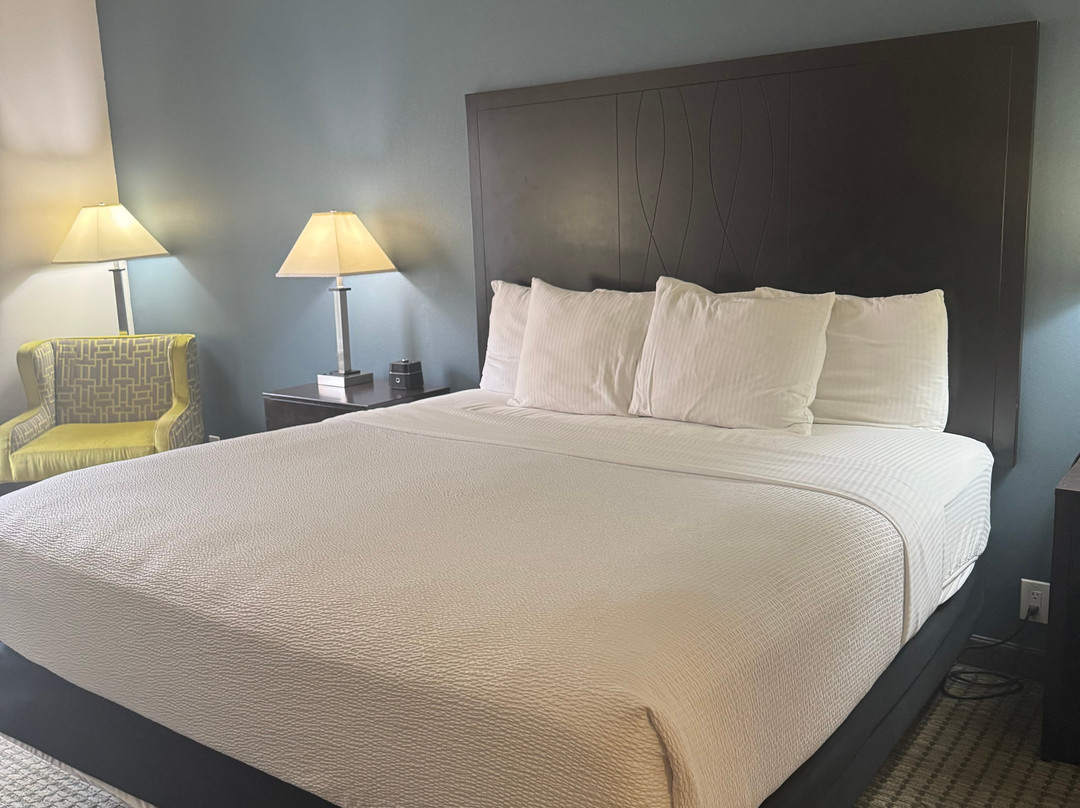 莫斯科帕尔曼拉金塔旅馆&套房酒店主图