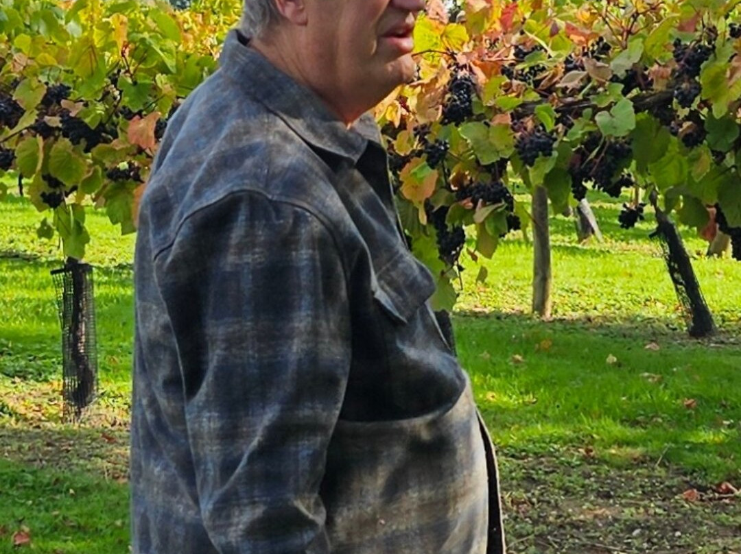 Shawsgate Vineyard-Framlingham必去景点