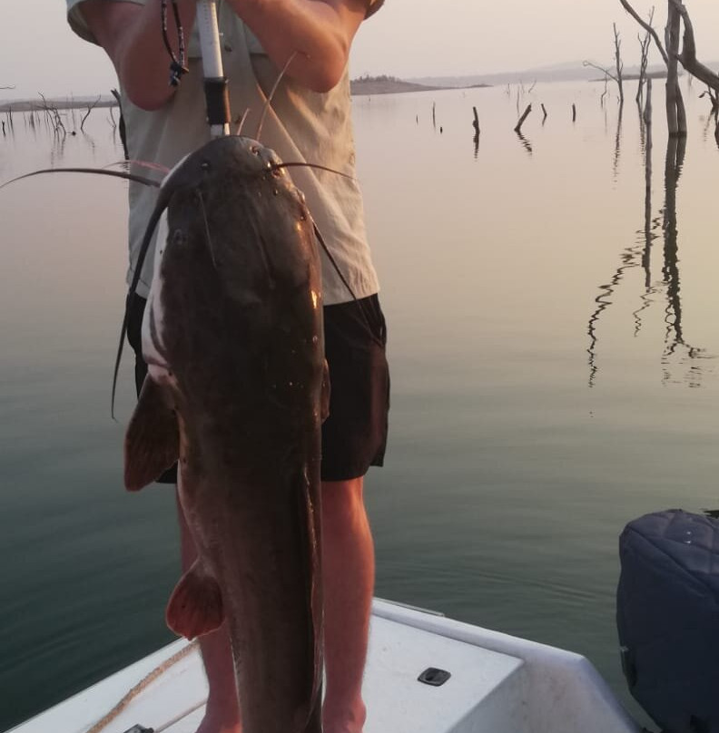 Heartveld Adventures (Pvt) Ltd-卡里巴必去景点